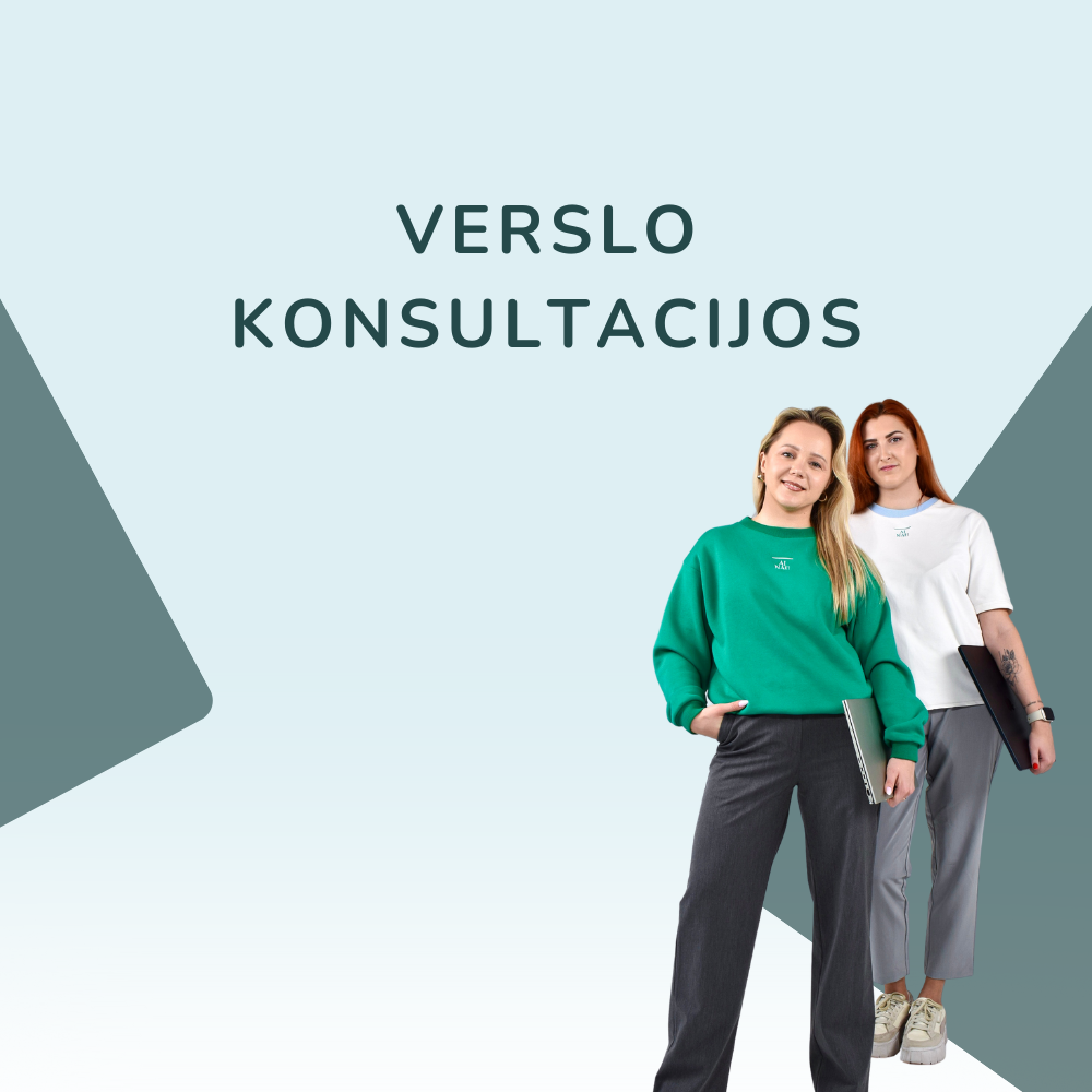 Verslo konsultacijos